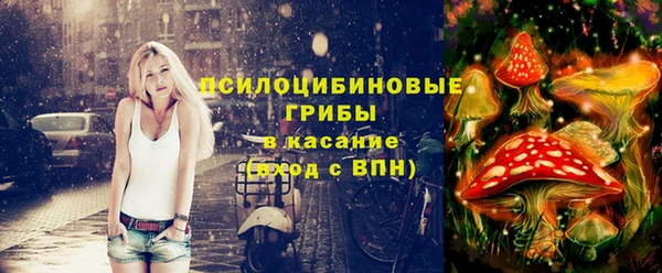 первитин Абинск