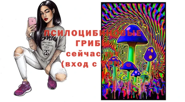 spice Абаза
