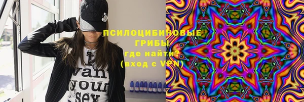 spice Абаза