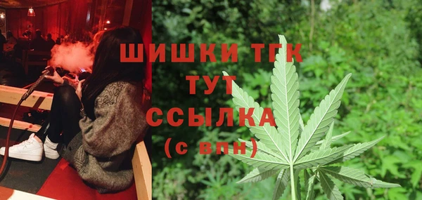 spice Абаза