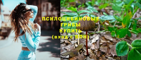 spice Абаза