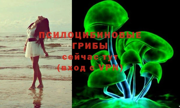 спиды Абдулино