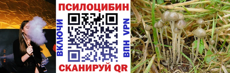 гидра tor  купить наркотики цена  Юрюзань  Псилоцибиновые грибы мухоморы 